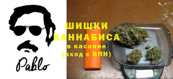 стафф Дмитриев