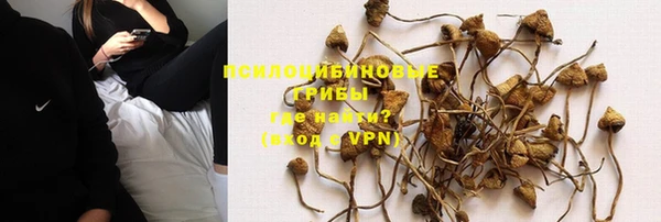 не бодяженный Дмитровск