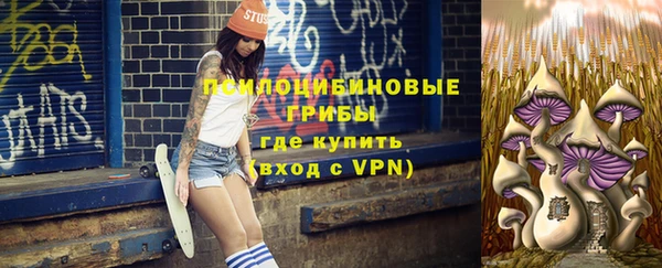 стафф Дмитриев