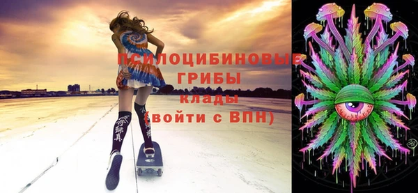 стафф Дмитриев