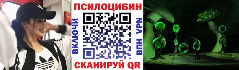 Псилоцибиновые грибы Cubensis  hydra маркетплейс  Зеленогорск 